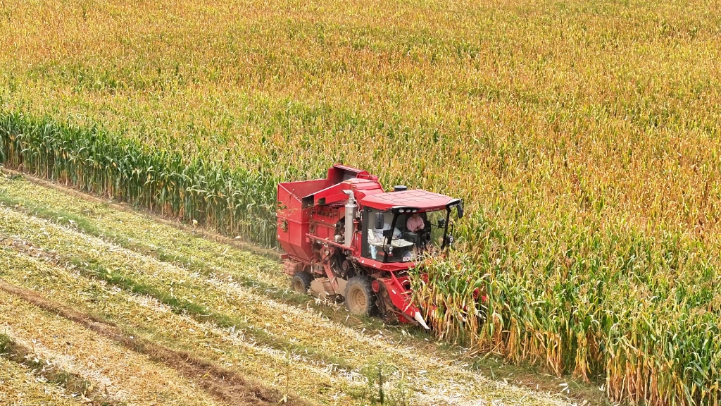 EMC易倍体育谷神玉米收获机节油减损